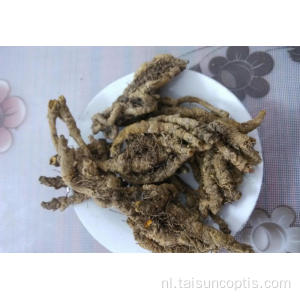 The Chicken feet coptis